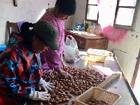 IMG 7085  The graders in action