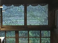 IMG 7111  Reading, maybe snoozing