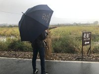 IMG 0902  Still misty