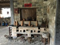 IMG 7122  The evolution of stools