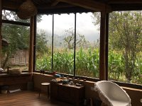 IMG 7128  looking out onto the garden