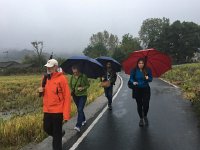 IMG 7151  We are colorful