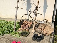 IMG 0919  Rural still life