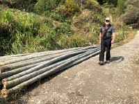 IMG 0920  Large basal diameter