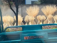 IMG 0932  from a moving car, drying bamboo and sheet metal vehicle