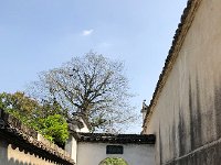 IMG 0954  Going outside to the forest park