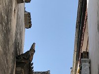 IMG 0961  roof lines