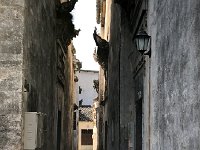 IMG 0962  light and dark