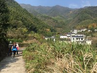 IMG 7165  Slopes covered with bamboo and pine destined to become poles different purposes