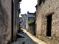 IMG 7180  cat on duty