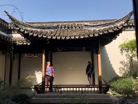 IMG 1011  examining how they do it