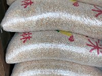 IMG 1037  crab feed?