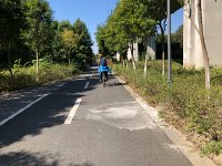IMG 1054  Nikki between the bullet train lines, all elevated
