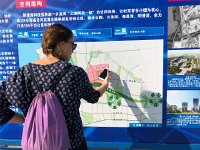 IMG 1110  of which this area is just a part