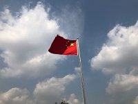 IMG 1141  local color