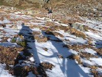 IMG 3984  early snow