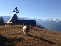 IMG 3866  whatchagot?