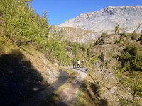 IMG 3876  along a bise