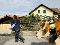 IMG 0370  follow the leader