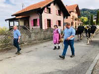 IMG 0376  more Bernese like