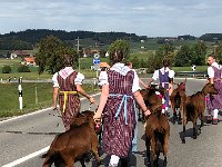 IMG 0384  keep them headed in the right direction