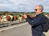 IMG 0387  Jacques enjoying the spectacle