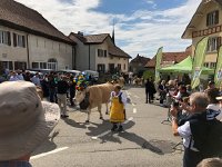 IMG 0396  the parades took different routes
