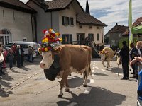 IMG 0397  going up town