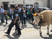 IMG 0398  follow the leader