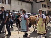 IMG 0400  dress finery