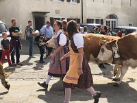 IMG 0401  milk maidens