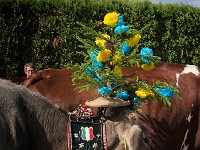 IMG 0415  head-dress