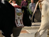 IMG 0416  head to tail