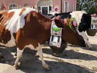 IMG 0418  what does the years mean?