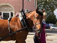 IMG 0419  what am I doing here??