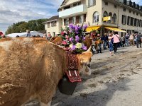 IMG 0421  very fuzzy coat