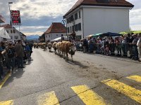 IMG 0424  the main street