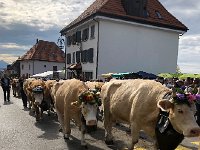 IMG 0426  plodding along