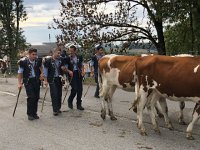 IMG 0431  Swiss teenage boys
