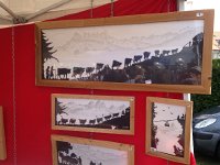 IMG 4012  découpage