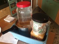 IMG 4087  the Last of the Krauts