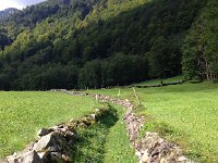 IMG 3498  almost English