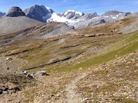 IMG 3623  trail I will follow tomorrow