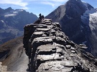 IMG 3628  top of the butte