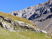 IMG 3650  more incised here