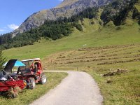 IMG 3685  raking hay