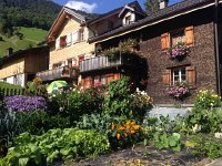 IMG 3690  nice garden!