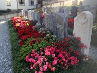 IMG 3702  untypical graveyard