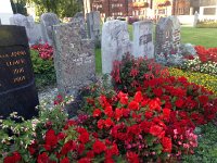 IMG 3704  for the dead