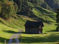 IMG 3707  peace along the stream